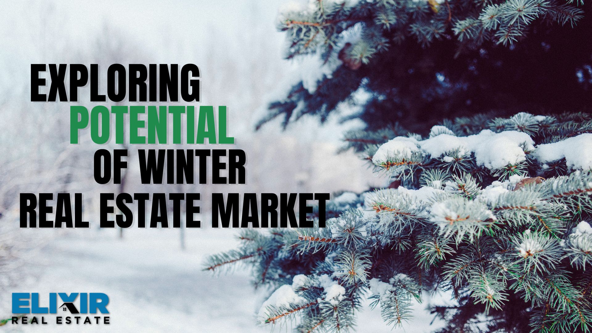Exploring the Potential of the Winter Real Estate Market